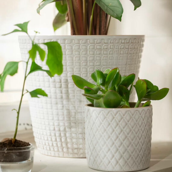 product_megamog_07_3